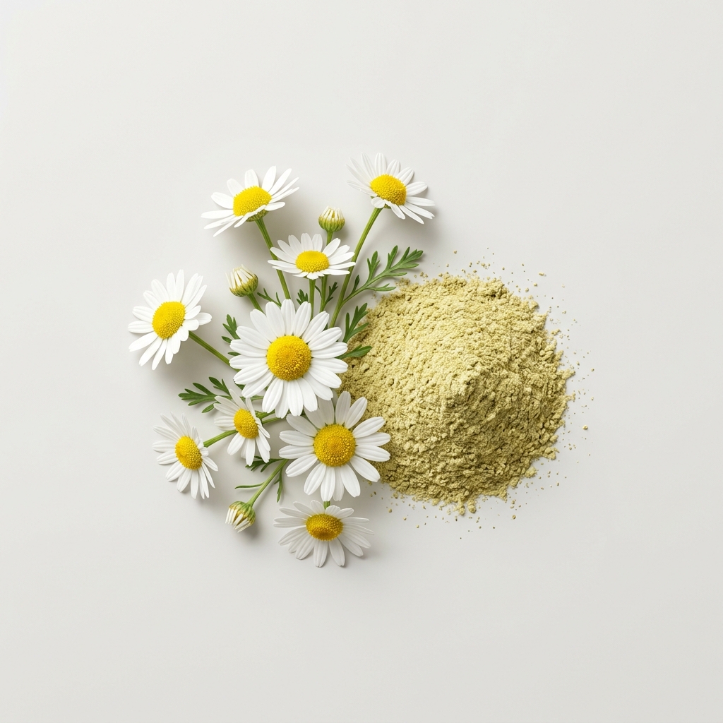 Chamomile flowers and powder