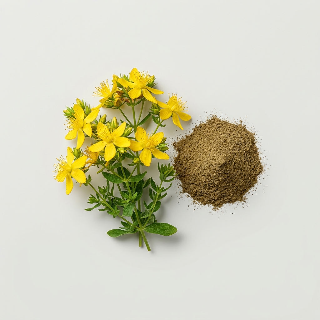 St. John's Wort flowers and powder